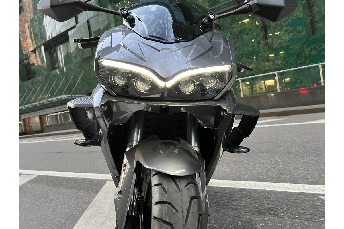ELECTRON Panigale S