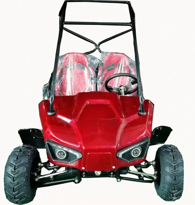 Багги Намиб T009 (60V20Ah 1500W R7) купить в интернет-магазине ElectronMotors