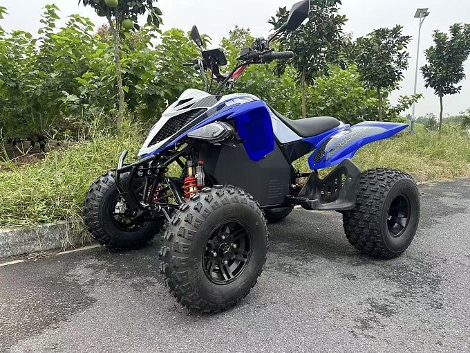 Электроквадроцикл ELECTRON MC-299 купить в интернет-магазине ElectronMotors