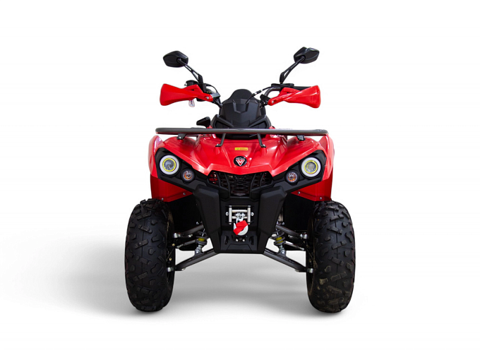 Квадроцикл MOTAX GRIZLIK 200 ULTRA купить в интернет-магазине ElectronMotors 