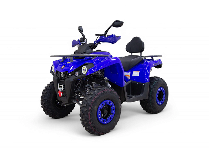 Квадроцикл MOTAX GRIZLIK 200 ULTRA купить в интернет-магазине ElectronMotors 