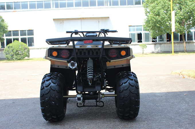 Квадроцикл Kandi KD-200 купить в интернет-магазине ElectronMotors 