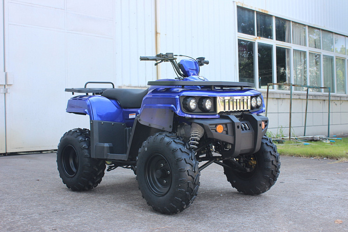 Квадроцикл Kandi KD-200 купить в интернет-магазине ElectronMotors 