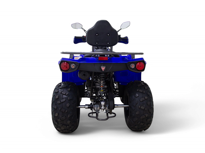 Квадроцикл MOTAX GRIZLIK 200 ULTRA купить в интернет-магазине ElectronMotors 